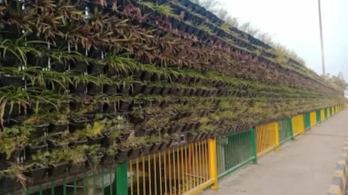 the world agriculture