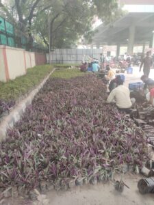 Plan and Execute Landscape Projects